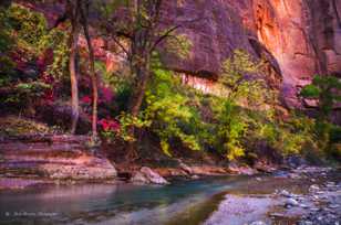 Zion Canyon, Fall-4460.jpg